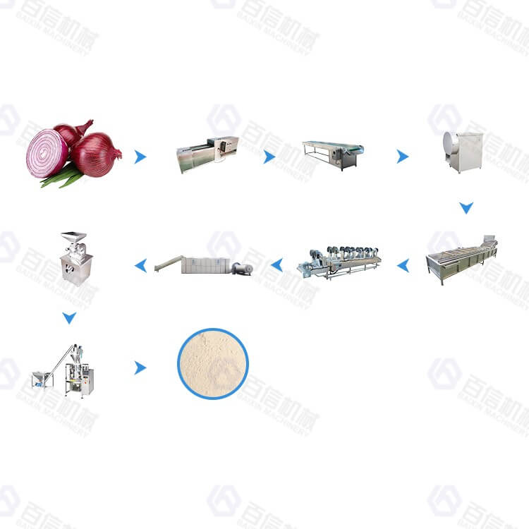 Large output onion powder processing line